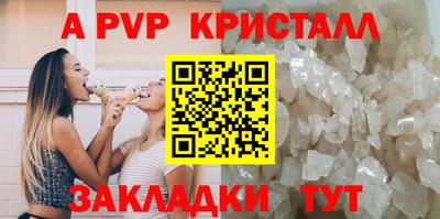 стаф Кунгур
