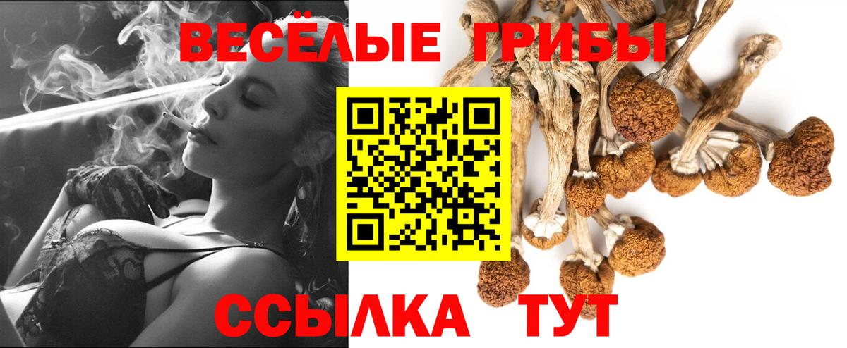 Галлюциногенные грибы Magic Shrooms  Вход с VPN  Галлюциногенные грибы GOLDEN TEACHER  Радужный 